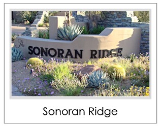 Sonoran Ridge Homes For Sale in Desert Mountain Scottsdale AZ